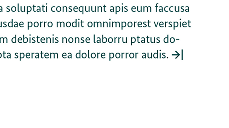 Ausschnitt einer Broschüren-Innenseite mit Kolumnenendzeichen.