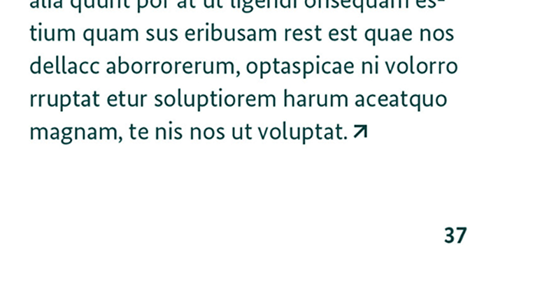 Ausschnitt einer Broschüren-Innenseite mit Fortsetzungszeichen.