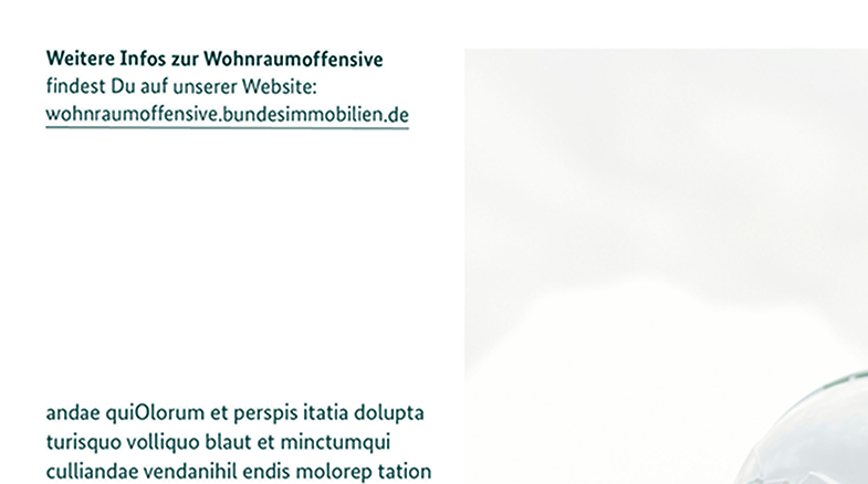 Ausschnitt einer Broschüren-Innenseite mit Link.