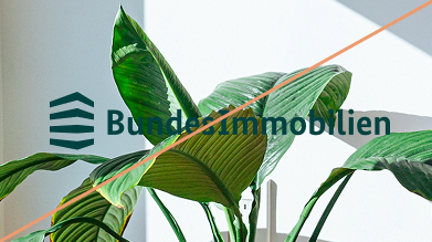 "BundesImmobilien"-Logo auf einem unruhigen  Foto, durchgestrichen mit einer Linie.