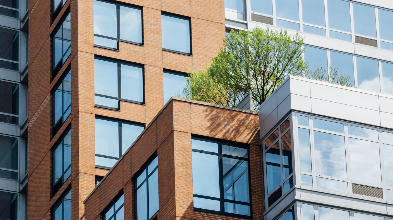 Foto einer modernen Gebäudefassade mit vielen Fenstern und einem grünen Baum auf einer Dachterrasse.