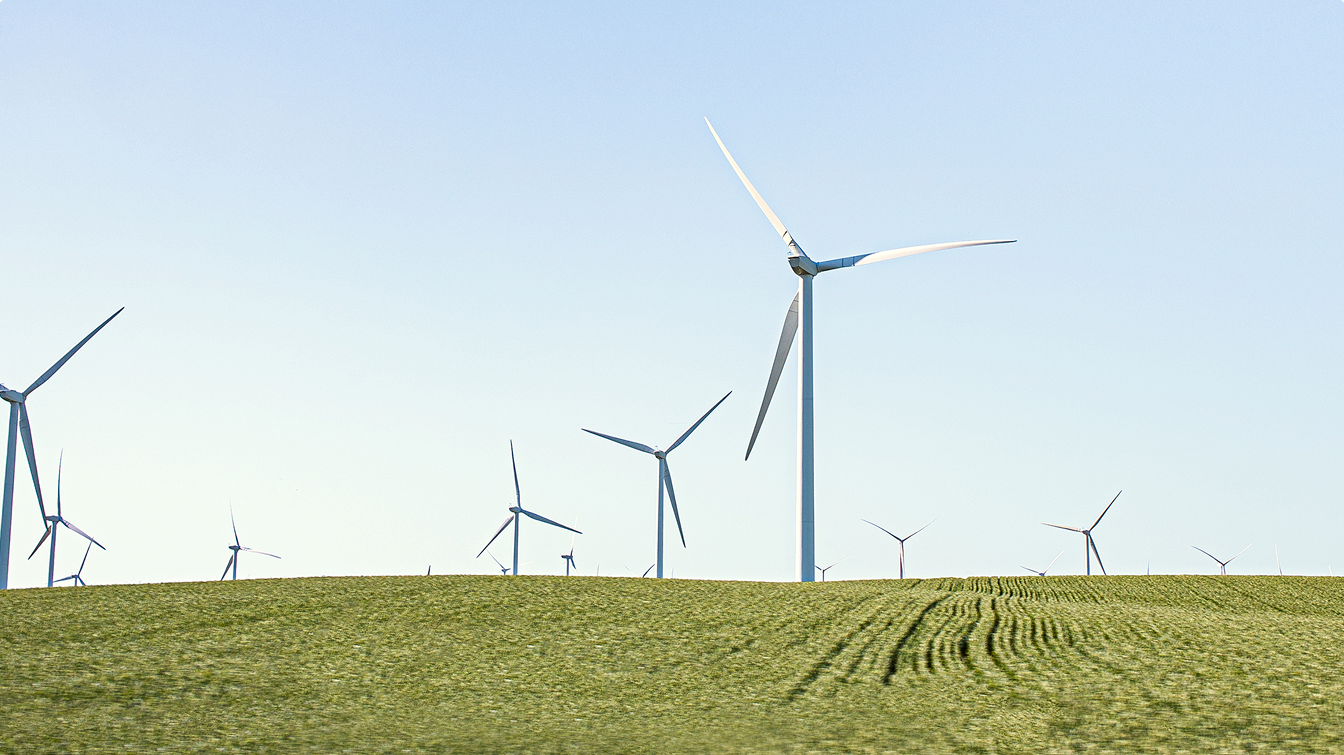 Es sind verschiedene Windkrafträder auf einer grünen Wiese zu sehen.